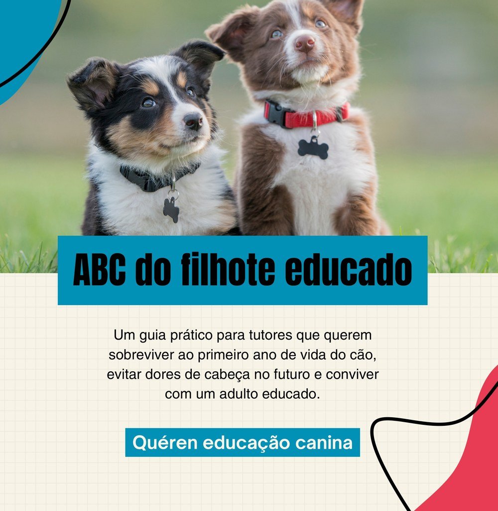 Capa do e-book ABC do Filhote Educado