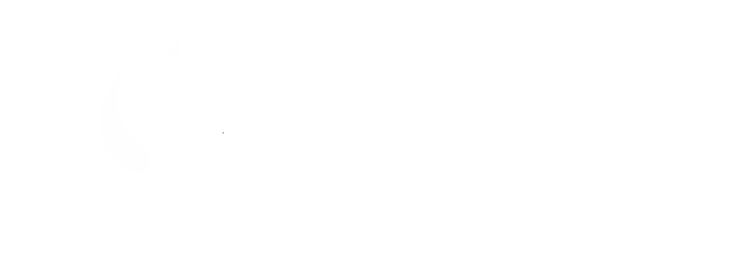 Curso Superando a Reatividade Canina