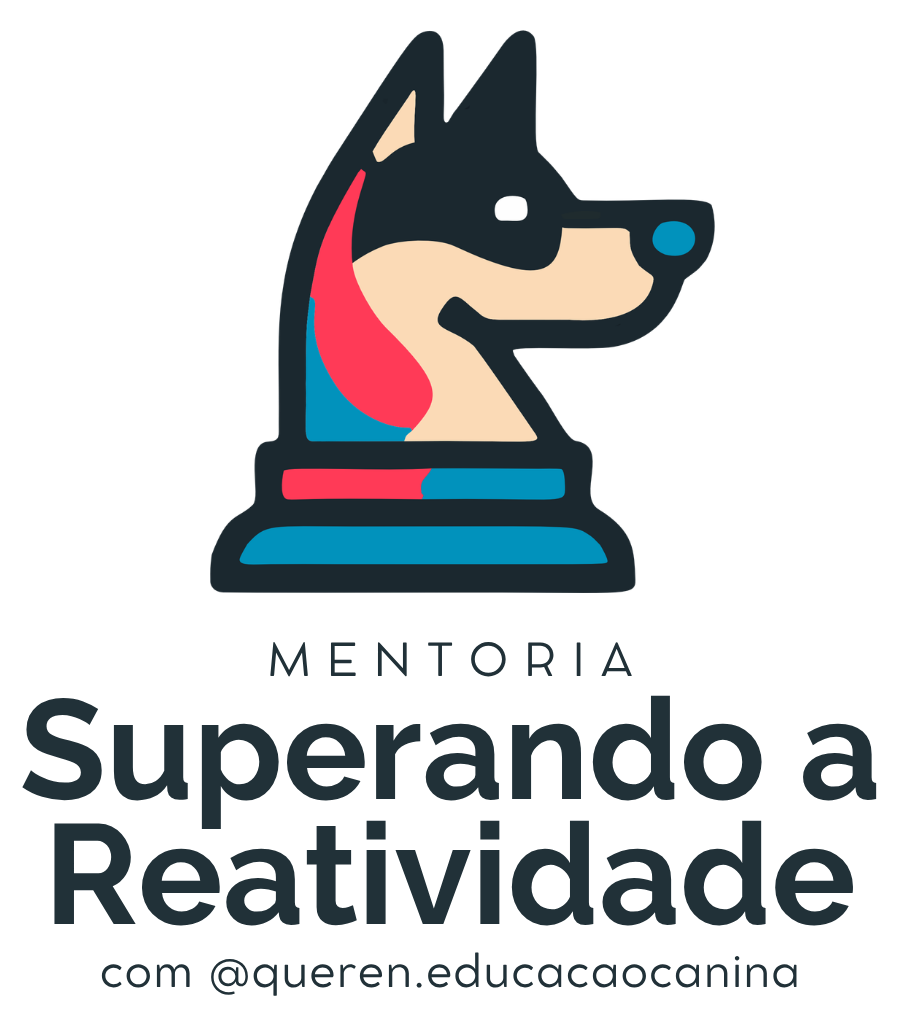 Mentoria Superando a Reatividade